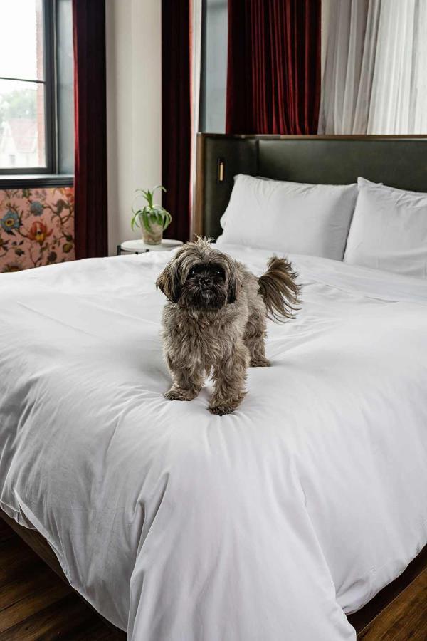 The Broadview Hotel Торонто Екстериор снимка